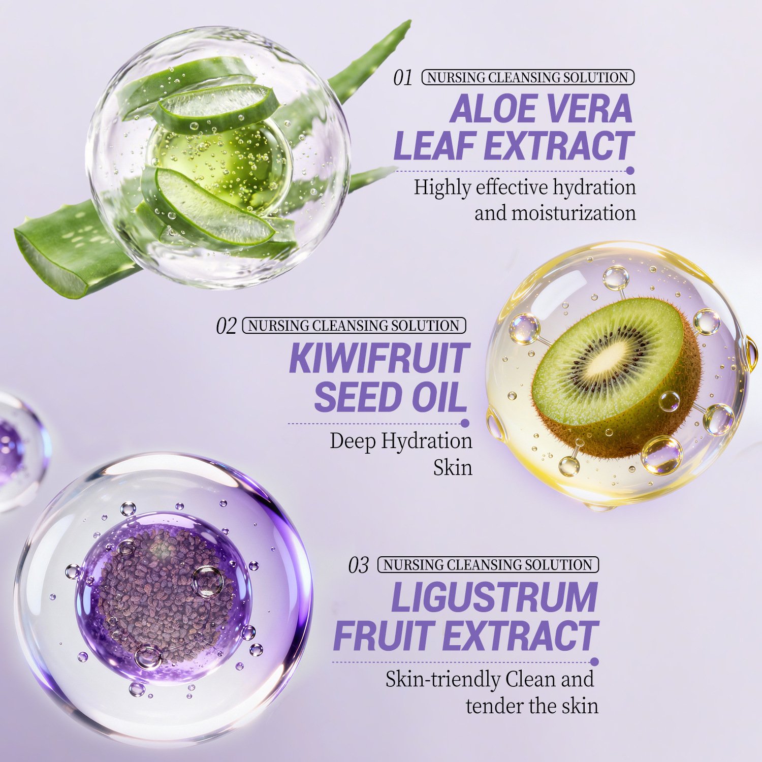 Aloe vera kiwifruit seed oil and ligustrum fruit extract